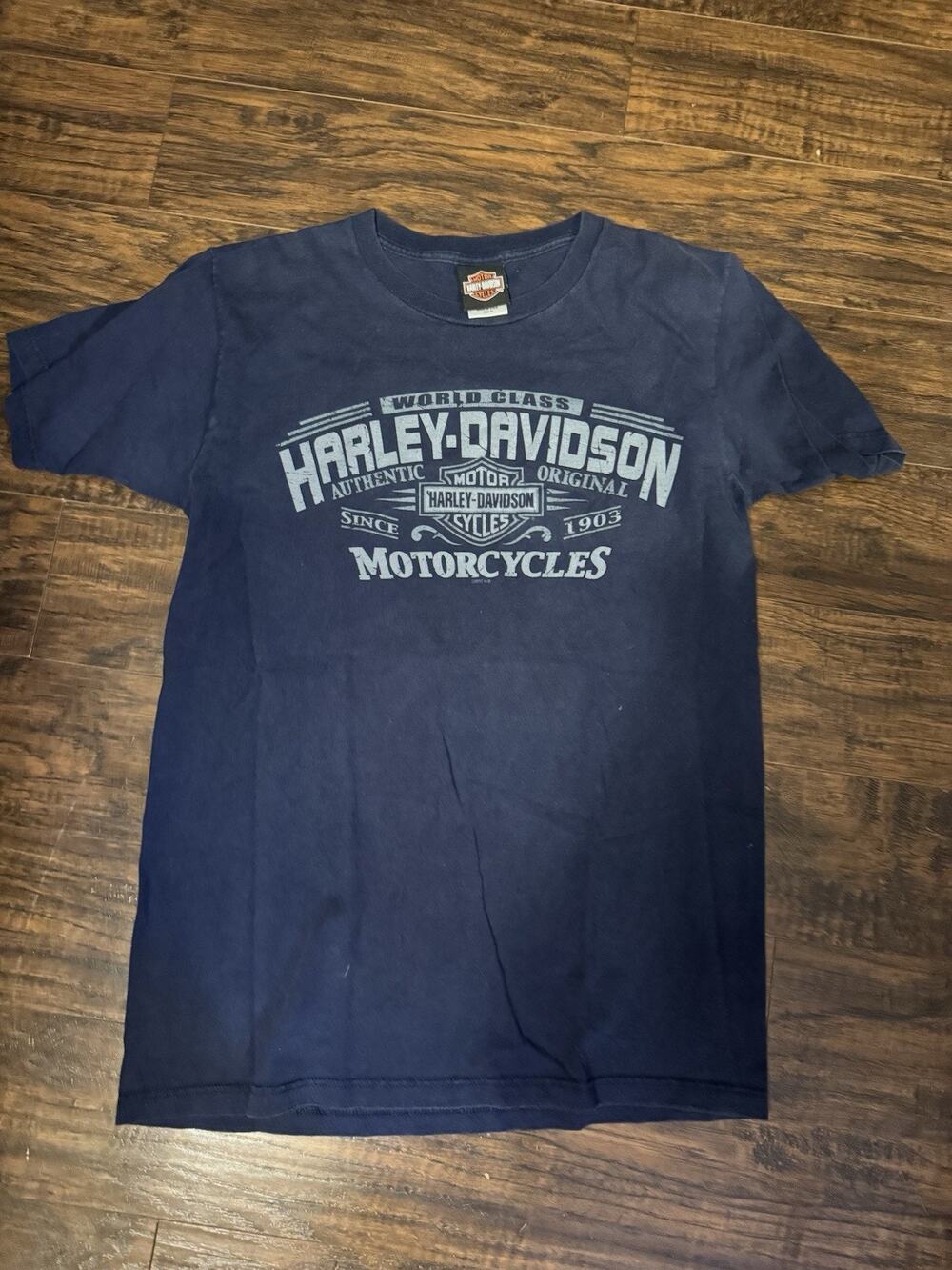 Harley-Davidson Stone Mountain Georgia Biker T-Shirt Mens M